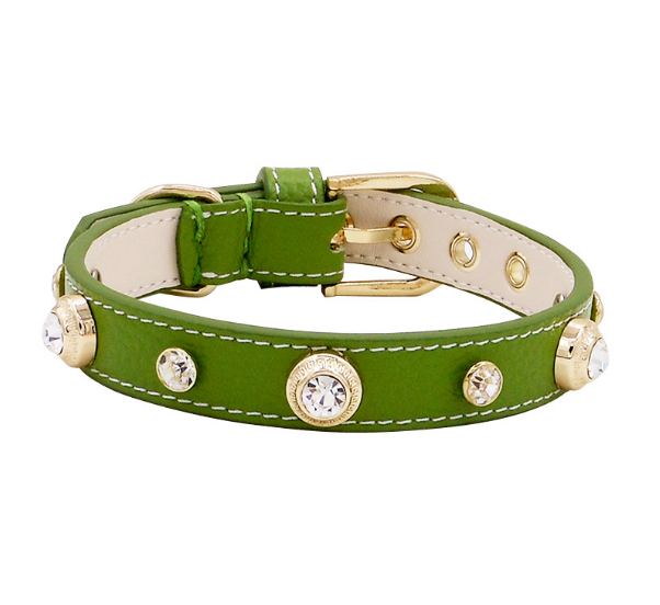 Luxury Dog Collar Bling