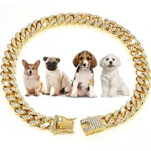 Chunky Gouden Hondenhalsband - Maat S/M Hond