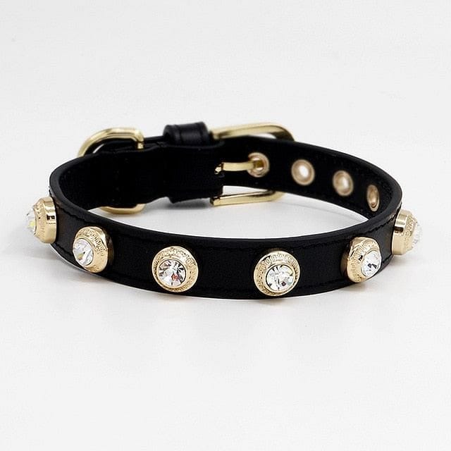 VVS Jewelry hip hop jewelry Black / 11.6" Luxury Dog Collar Bling