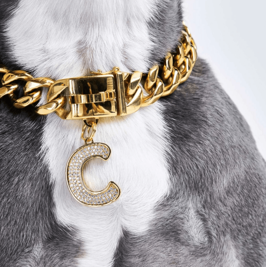 VVS Jewelry hip hop jewelry Initial Dog Pendant