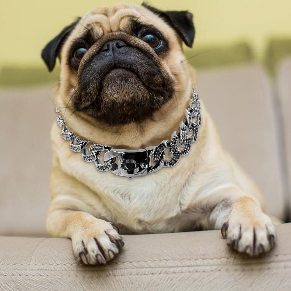 VVS Jewelry hip hop jewelry Medium/Large Gold Cuban Link Dog Collar