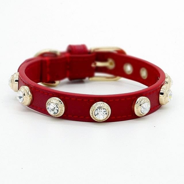 VVS Jewelry hip hop jewelry Red / 11.6" Luxury Dog Collar Bling