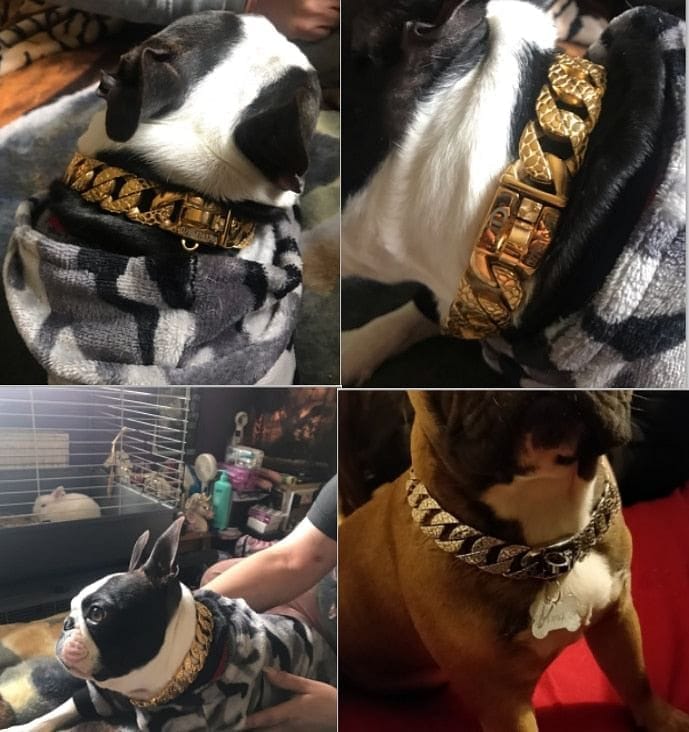 VVS Jewelry hip hop jewelry Thicc Cuban Link Dog Collar
